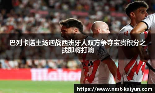 关键词4